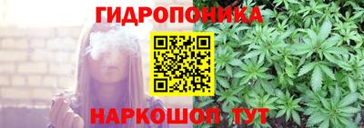 стаф Ливны