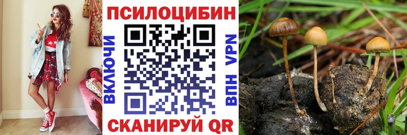 Галлюциногенные грибы Psilocybe  Саратов 