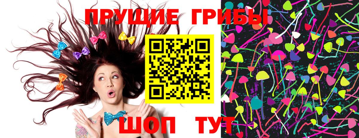что такое   Псилоцибиновые грибы Psilocybe  Вход с VPN  Саратов 