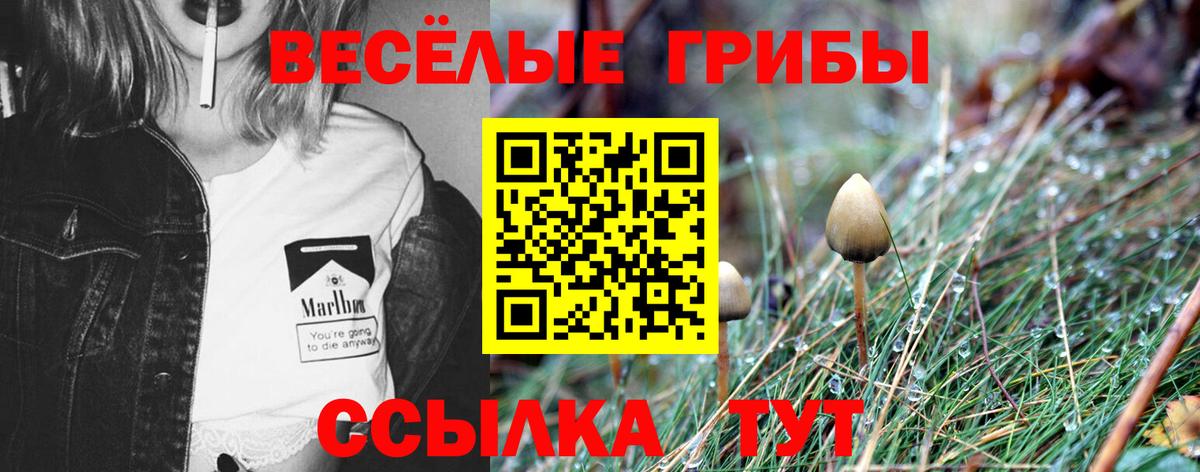 Галлюциногенные грибы ЛСД Саратов