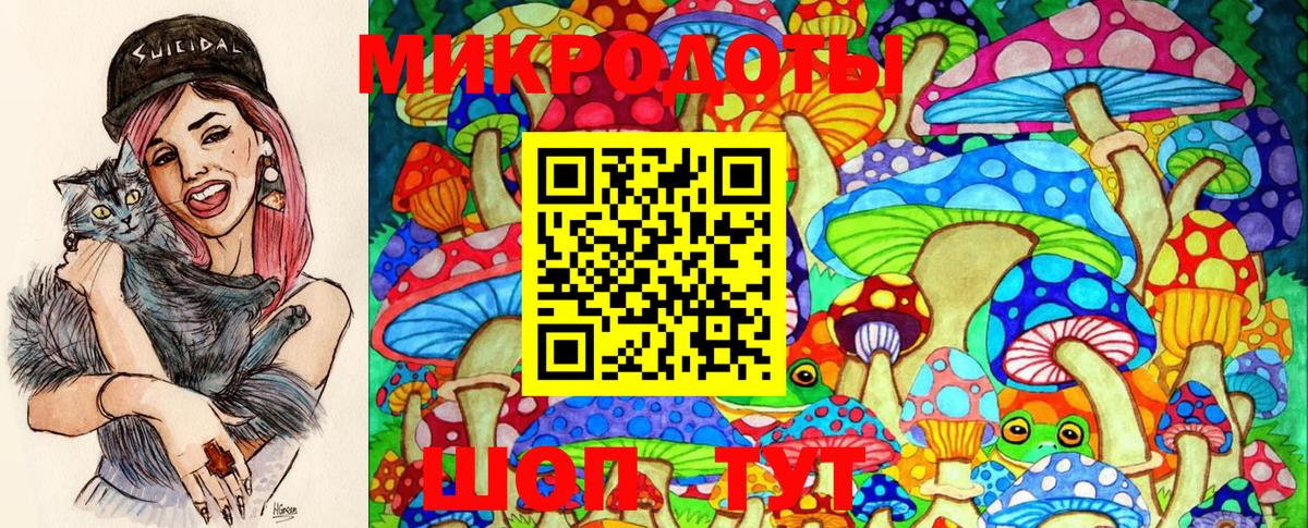 Галлюциногенные грибы Magic Shrooms  Вход с VPN  Саратов  Галлюциногенные грибы Psilocybine cubensis 